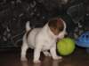 img_0023_small.jpg
