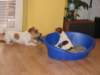 img_0031_small.jpg