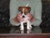 img_0039_small.jpg