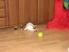 img_0057_small.jpg