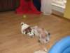 img_0067_small.jpg