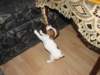 img_0069_small.jpg