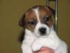 img_0090_small.jpg