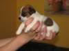 img_0112_small.jpg