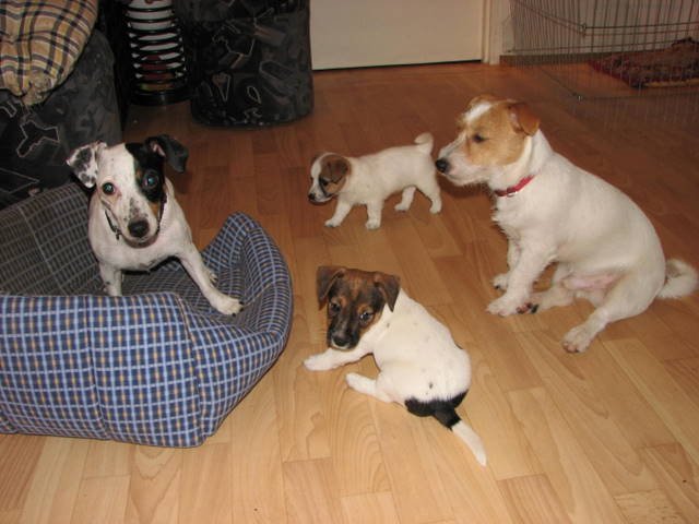 img_1153.jpg
