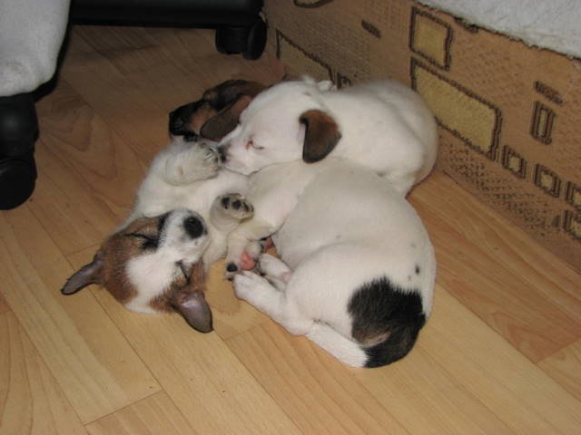 img_1164.jpg