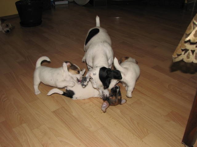 img_1178.jpg