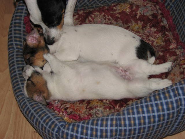 img_1213.jpg