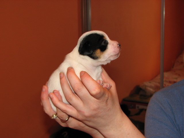 photo4.jpg