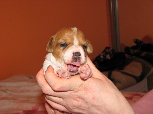 photo5.jpg