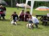 czaplinek2009wystawaterrierw2_small.jpg