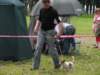 czaplinek2009wystawaterrierw3_small.jpg