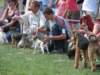 gorzw2008_small.jpg