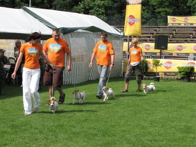 img_0025.jpg