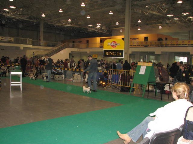 img_0026.jpg