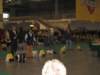 img_0037_small.jpg