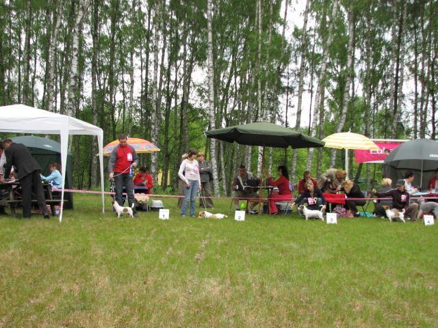 img_0054.jpg