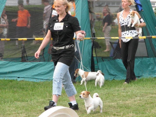 img_0138.jpg