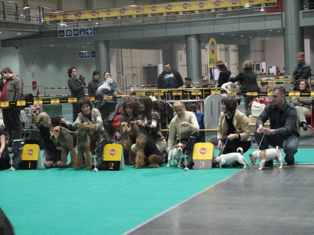 img_0214.jpg