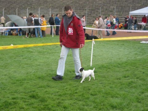koszalin2005.jpg