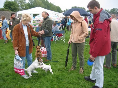 koszalin20052.jpg