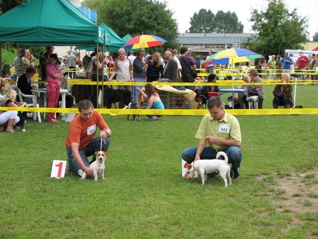 koszalin2007jackieindiigoobornickinornik.jpg