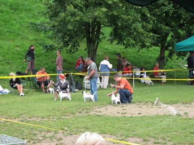 koszalin2007porwnaniegangstaffmoviestarjopekpdiablejackie.jpg