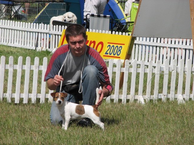 leszno20082.jpg