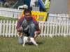 leszno20082_small.jpg