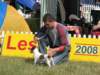 leszno20084_small.jpg