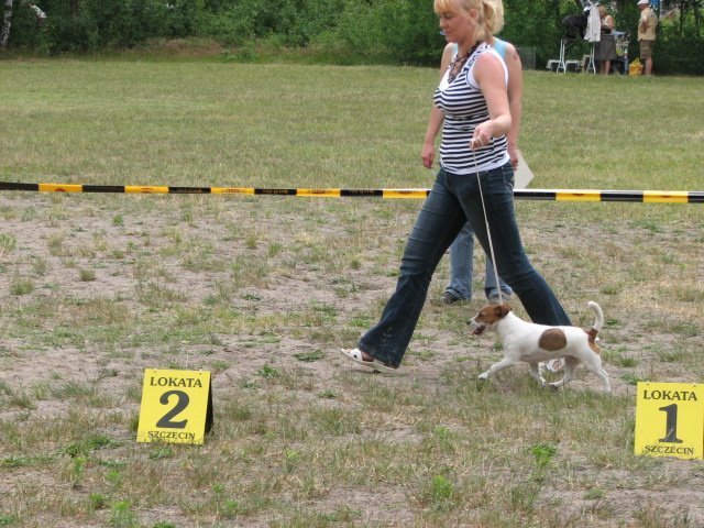lubieszyn2008.jpg