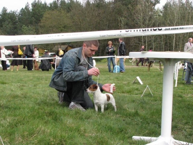 manowo2008beki.jpg
