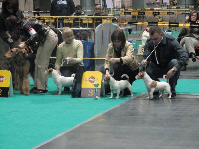 pozna2007najlepszagrupahodowlanamiejsce23.jpg