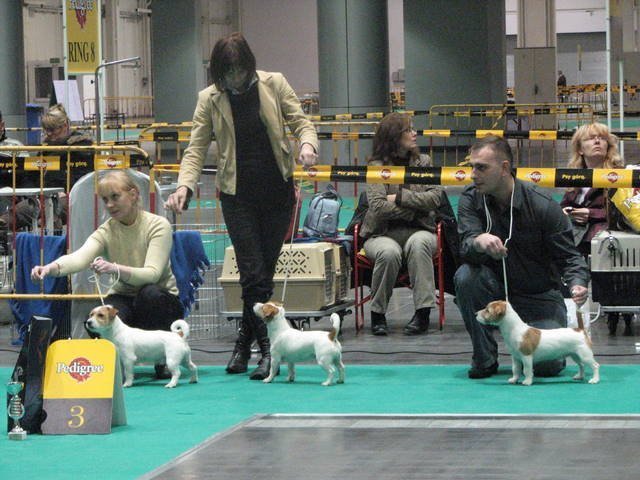 pozna2007najlepszagrupahodowlanamiejsce24.jpg