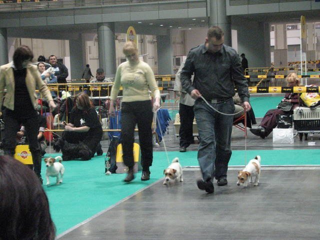 pozna2007najlepszagrupahodowlanamiejsce25.jpg