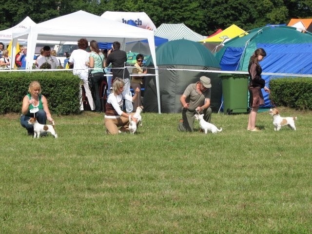 sopot20082.jpg