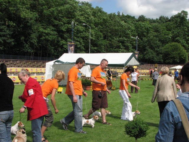 szczecin2007grupahodowlanamiejsce24.jpg