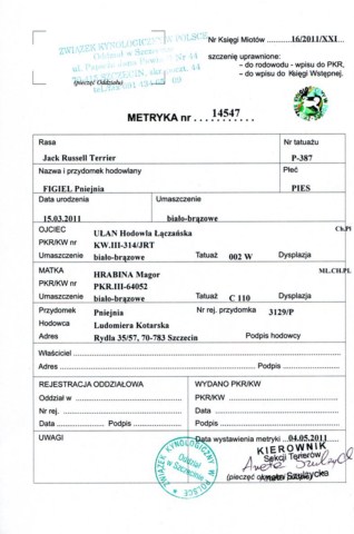 metryka FIGIEL